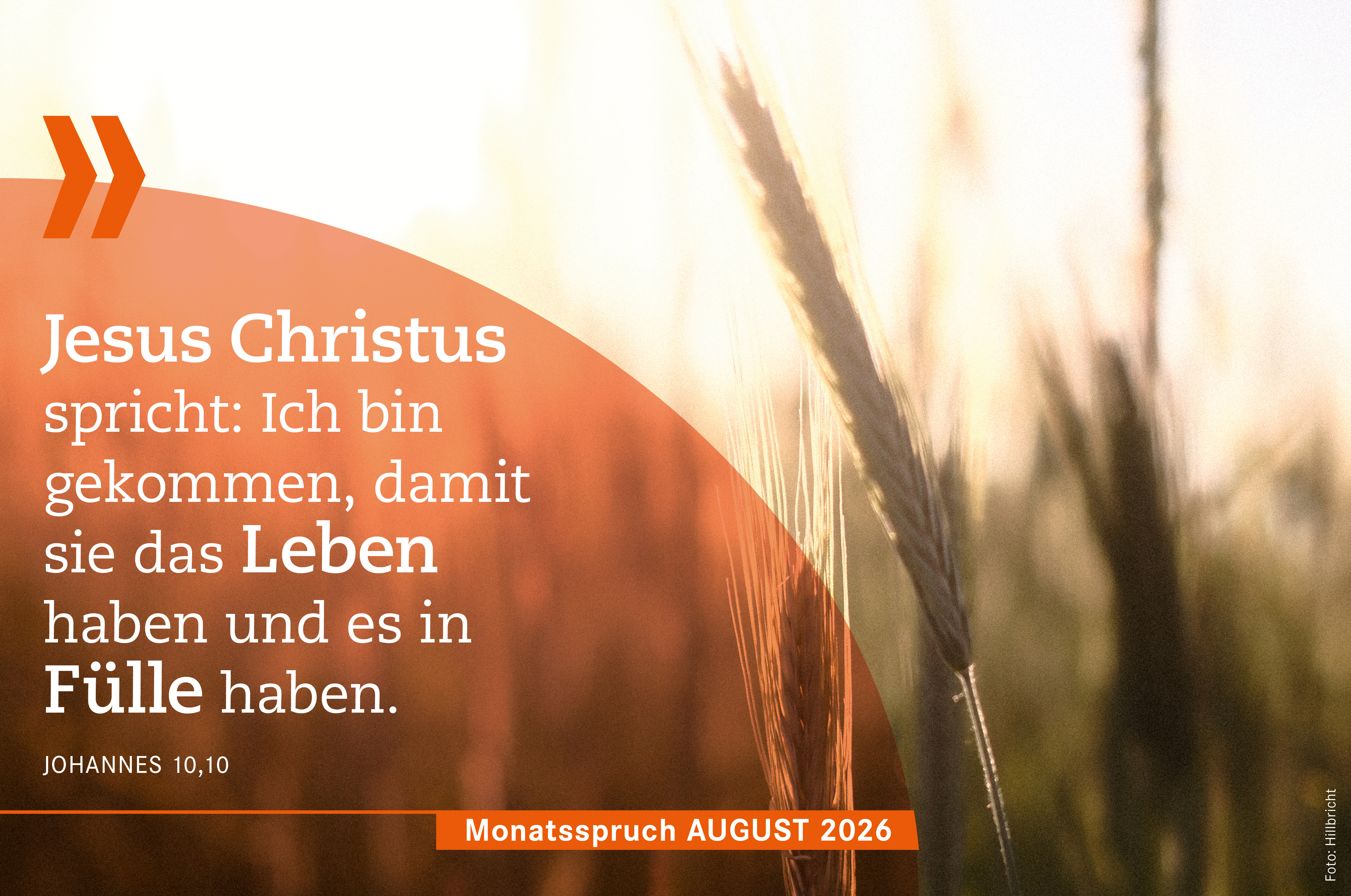 Monatsspruch August: <b>Jesus Christus spricht: Ich bin gekommen, damit sie das Leben haben und es in Fülle haben.</b>Johannes 10,10