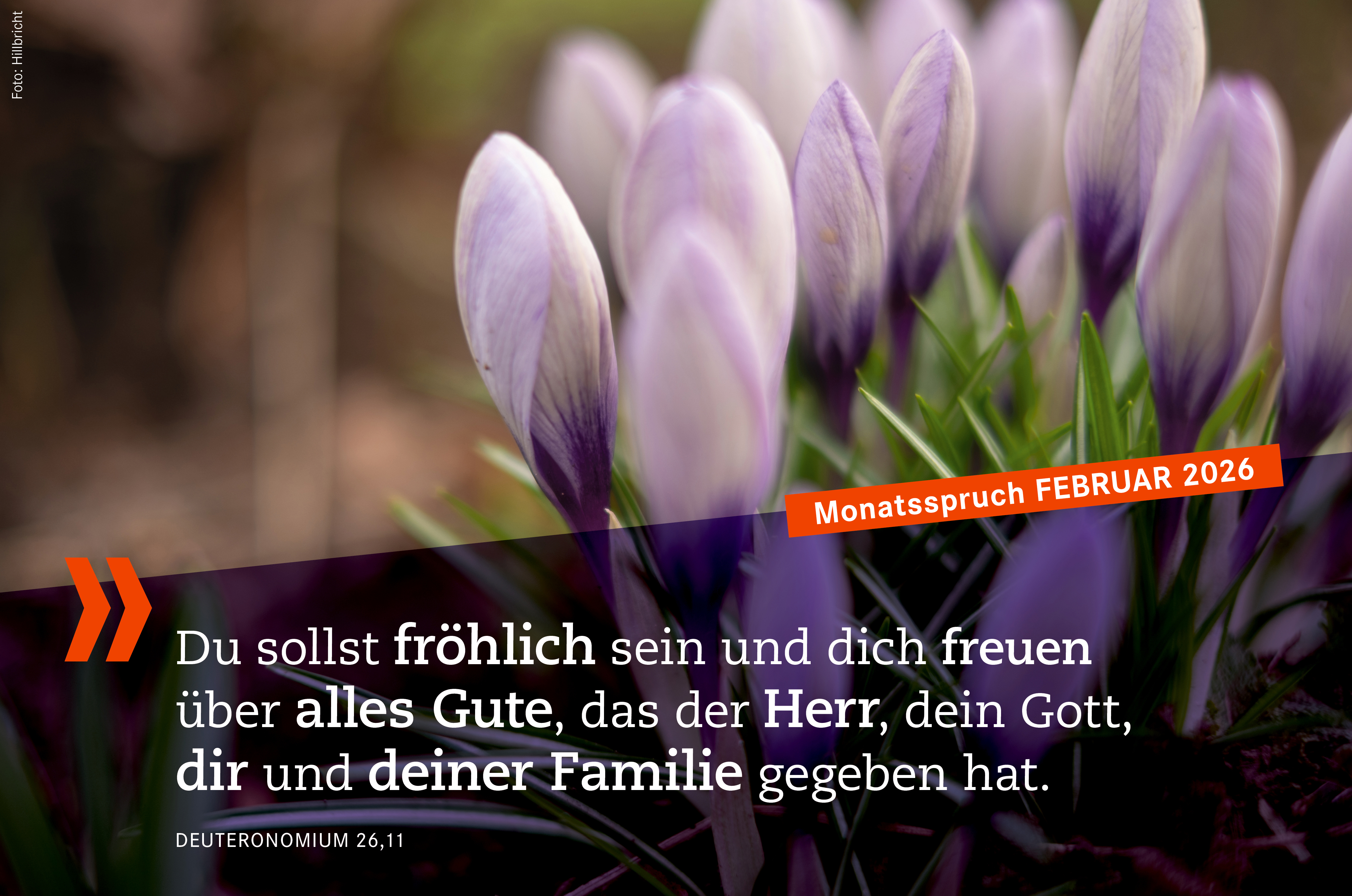 „Monatsspruch Februar: Du sollst fröhlich sein und dich freuen über alles Gute, dass der Herr, dein Gott,
dir und deiner Familie gegeben hat. Deuteronomium 26,11
