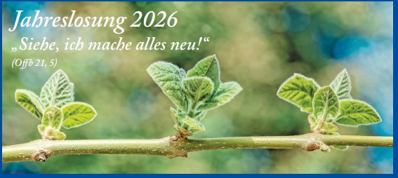 Bid zur Jahreslosung