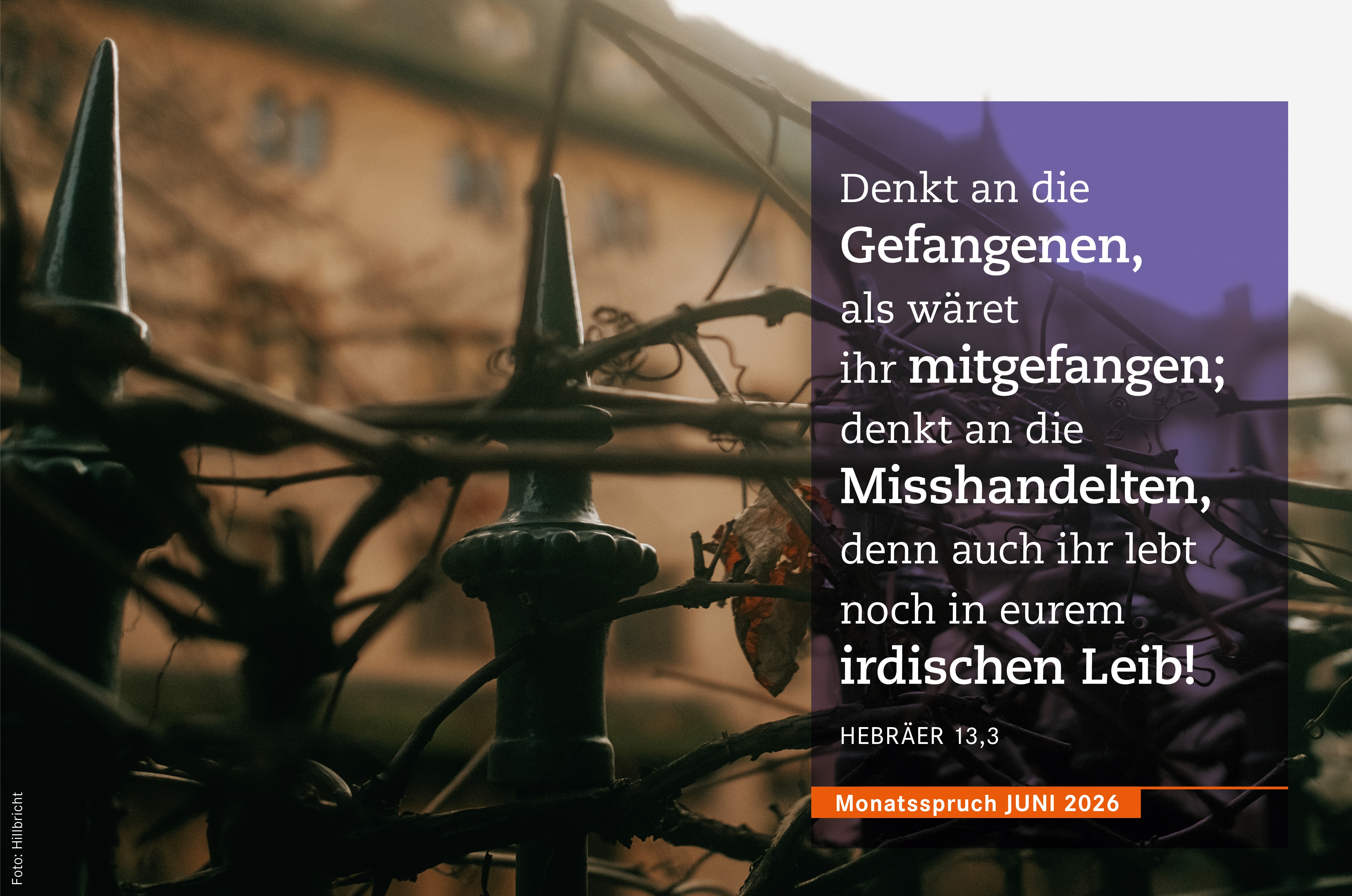 Monatsspruch Juni: <b>
						Monatsspruch Juni: <b>Denkt an die Gefangenen, als wäret ihr mitgefangen; denkt an die Misshandelten, denn auch ihr lebt noch in eurem irdischen Leib! Hebr 13,3 (E)