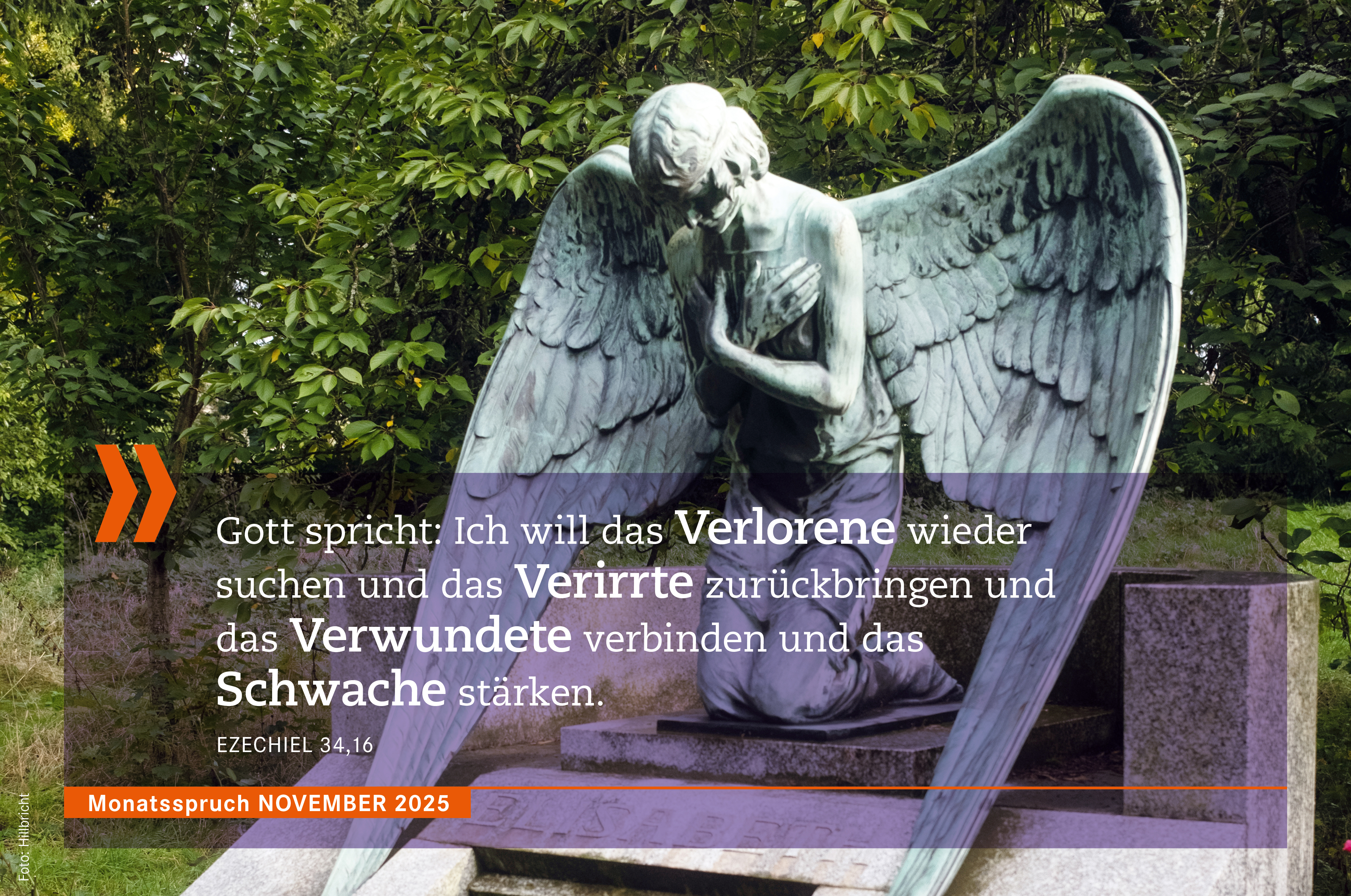 „Monatsspruch November 2025 - Gott spricht: Ich will das Verlorene wieder suchen und das Verirrte zurückbringen und das 
						Verwundete verbinden und das Schwache stärken. - Ezechiel 34,16
