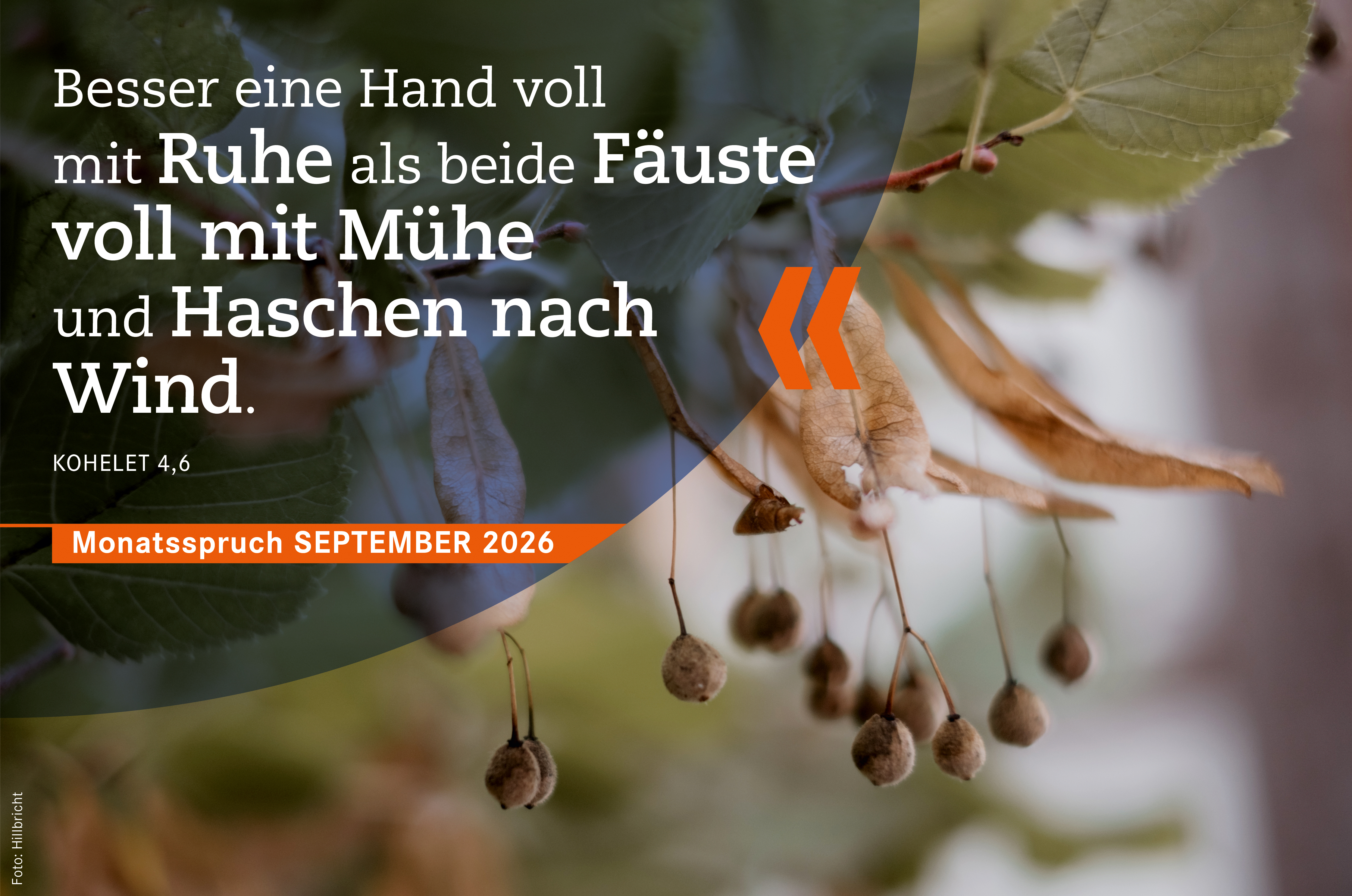 Monatsspruch September:<b>Besser eine Hand voll mit Ruhe als beide Fäuste voll mit Mühe und Haschen nach Wind.</b>Kohelet 4,6